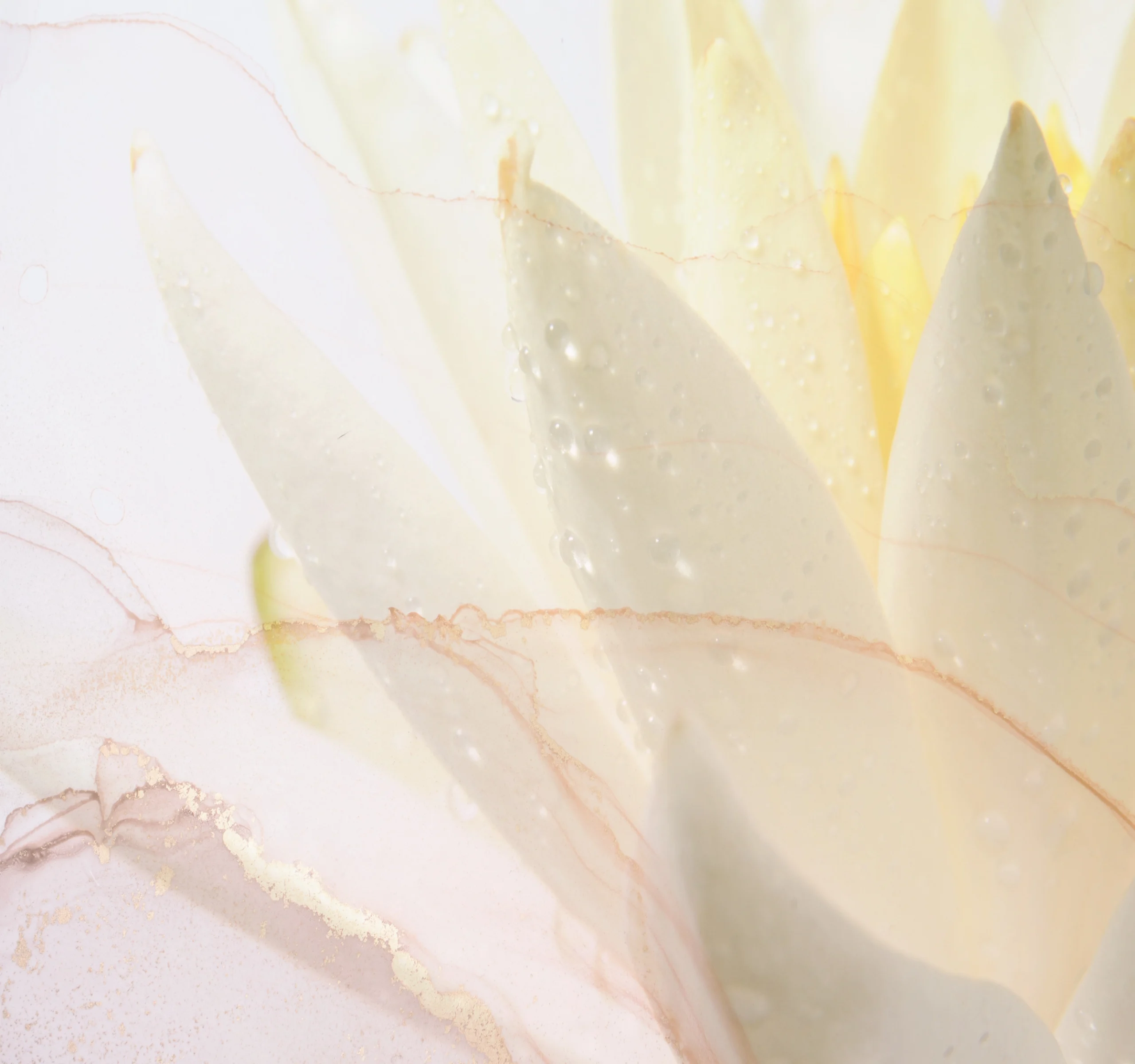 Aloe Vera Kosmetik für feuchtigkeitsarme Haut