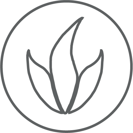 Active Aloe